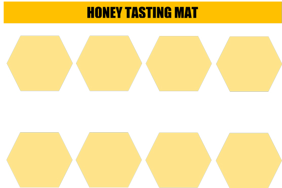 Degustazione di miele per aFamilyToday Cheat Sheet