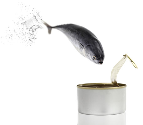 10 cibi salutari per perdere peso