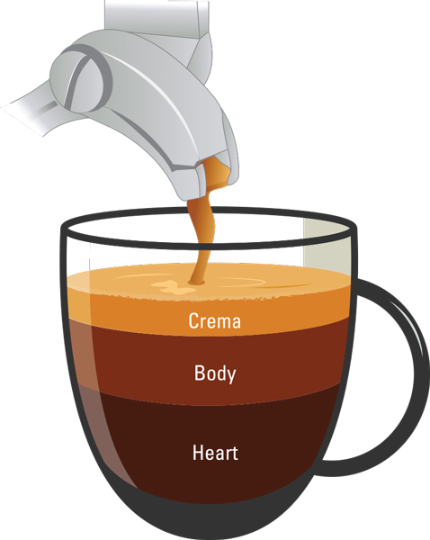 Preparare l'espresso perfetto: le quattro "M"