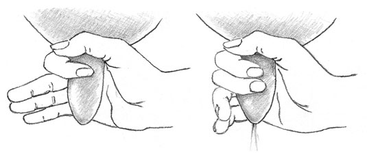 Come mungere a mano una capra