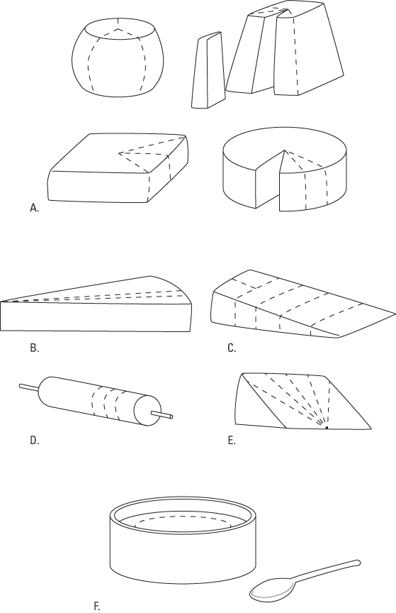 Cheat Sheet di Cheese For aFamilyToday