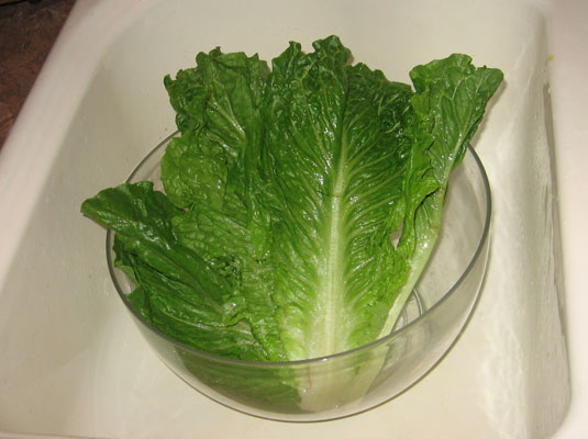 Come lavare e conservare le verdure fresche?