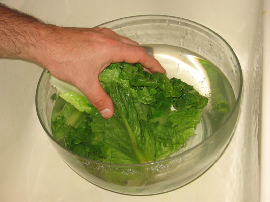 Come lavare e conservare le verdure fresche?