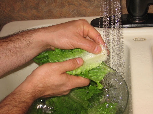 Come lavare e conservare le verdure fresche?