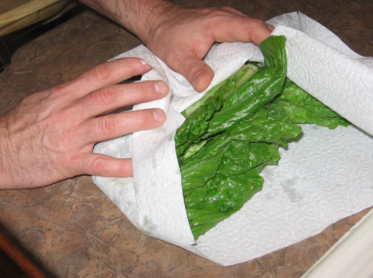 Come lavare e conservare le verdure fresche?