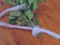 Essiccare le Erbe Fresche