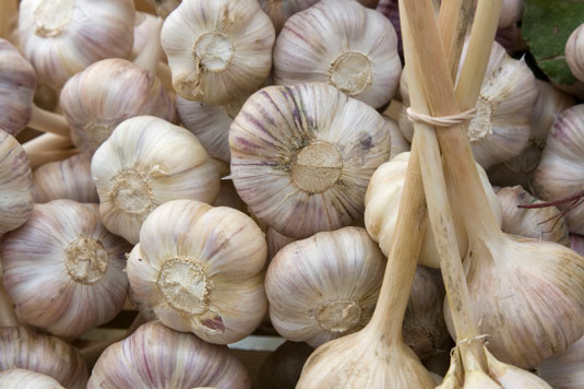 Un assaggio del Mediterraneo: le 10 migliori erbe e spezie