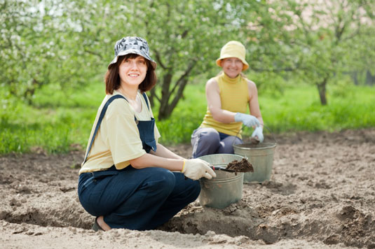 Elementi Softscape comuni per il tuo giardino a misura di pollo