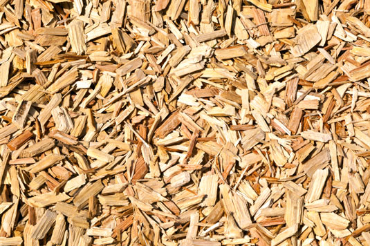 Elementi Softscape comuni per il tuo giardino a misura di pollo