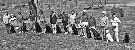 Corso di addestramento all'obbedienza del cane