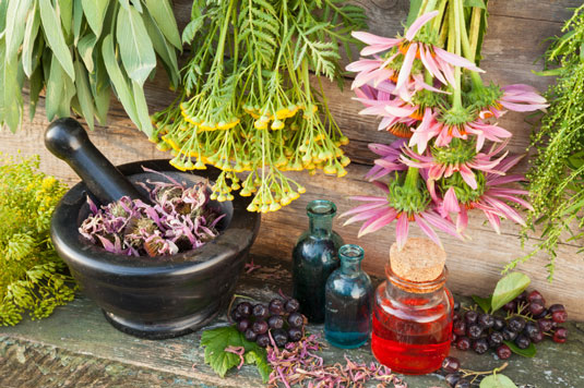10 ingredienti immunostimolanti per succhi e frullati