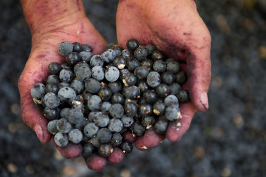 10 frutta e verdura ricche di antiossidanti per succhi e frullati