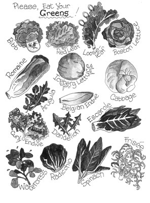 Identificare le lattughe (o le verdure delicate)