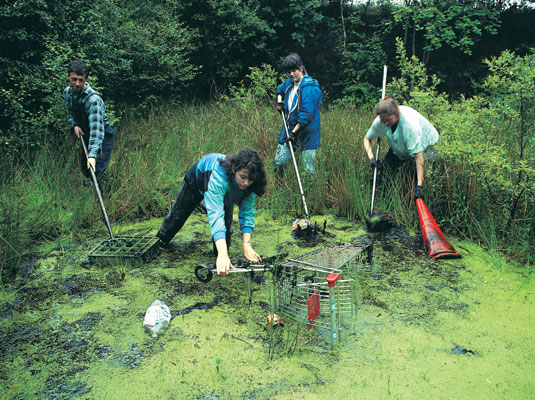 Gestire un'azienda verde: responsabilità sociale d'impresa