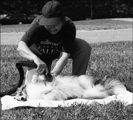 Come controllare il tuo cane per le pulci?