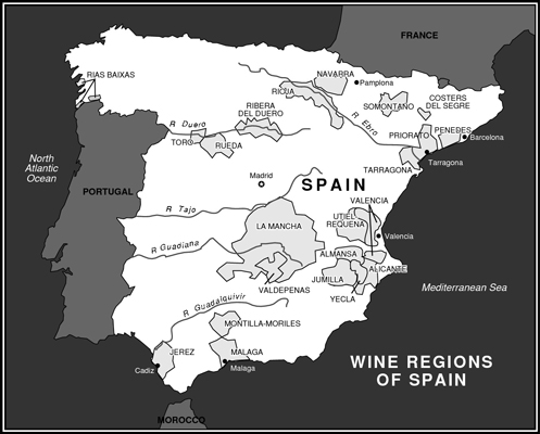 Conoscere i vini e le regioni spagnole