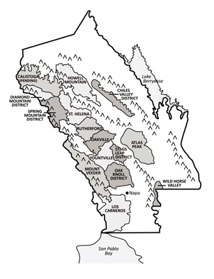 La regione vinicola della Napa Valley in California