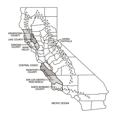 Guardando le regioni vinicole della California