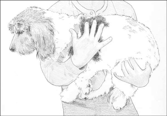 Mani/Pedi Time: come tagliare le unghie dei cani