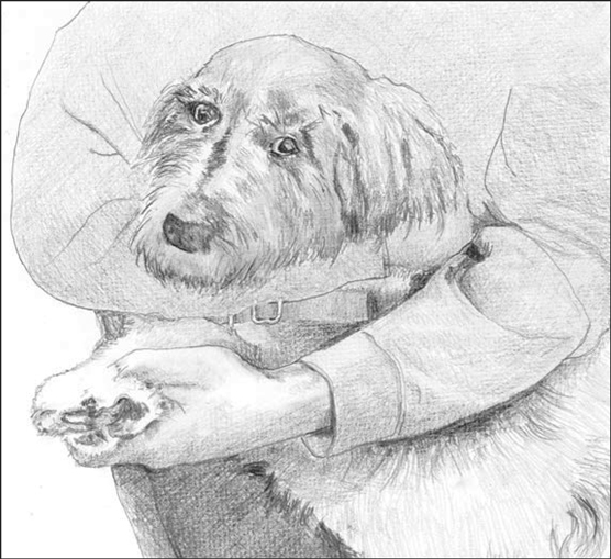 Mani/Pedi Time: come tagliare le unghie dei cani