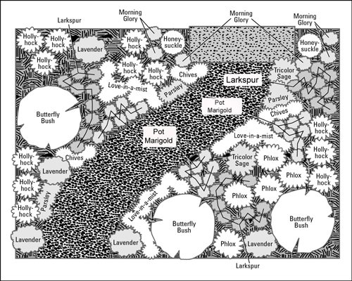 Giardini annuali: come combinare forme e dimensioni delle piante