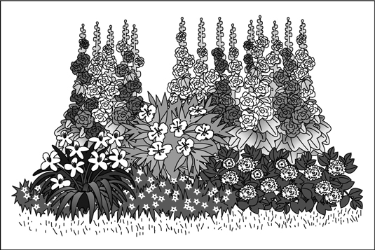 Giardini annuali: come combinare forme e dimensioni delle piante