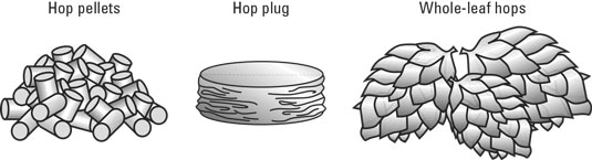 Homesteading: cosa ti serve per fare la birra