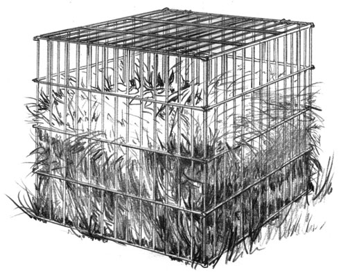 Scegliere un cestino per il compost