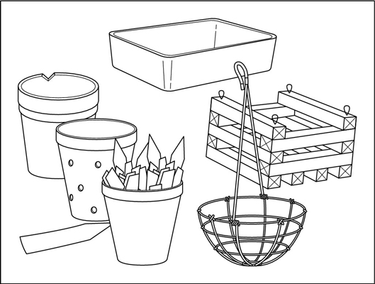 Come scegliere un vaso per orchidee