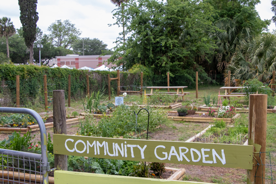 10 modi adatti ai bambini per fare giardinaggio in città