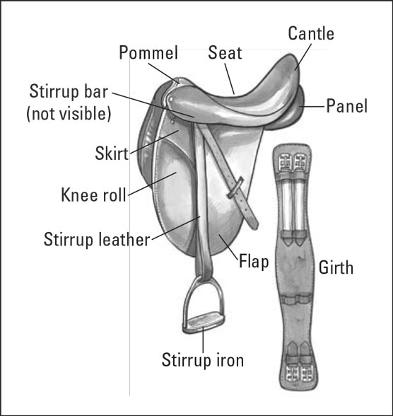 Tutto quello che avresti sempre voluto sapere sulle selle