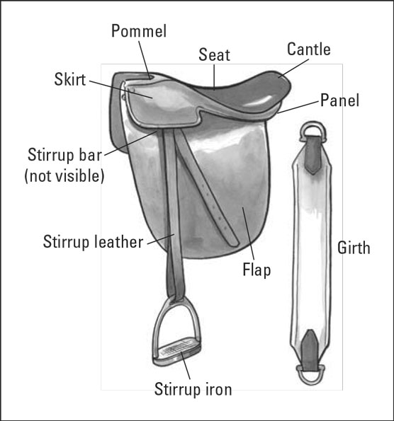 Tutto quello che avresti sempre voluto sapere sulle selle