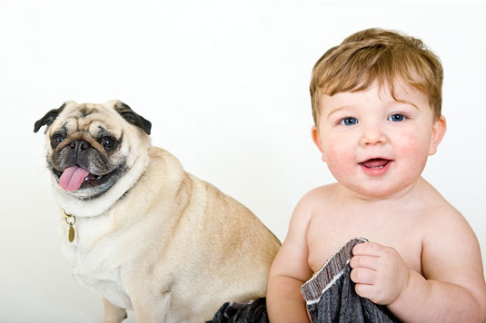 Come scattare foto con cani e bambini