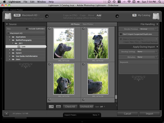 Come importare le foto del tuo cane in Lightroom