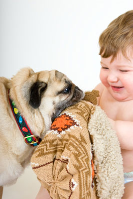 Foto fotogiornalistiche nella fotografia di cani