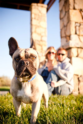 Scatti tipici per la fotografia di cani