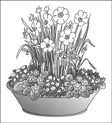 Pianta un giardino in vaso all'inizio della primavera