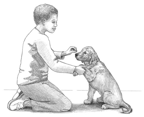 Come insegnare alcuni trucchi di base per i cuccioli