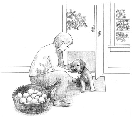 Il primo mese di possedere un cucciolo