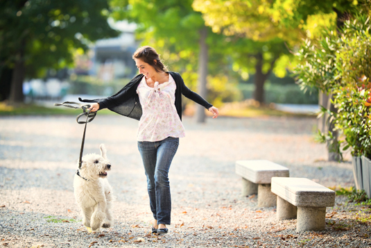 Come trovare il tempo per addestrare il tuo cane