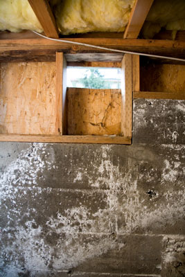 Come rendere invernale le fondamenta, lo spazio di scansione e l'esterno