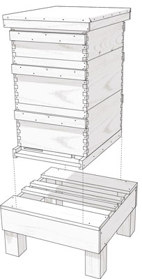Come assemblare un supporto per alveare elevato