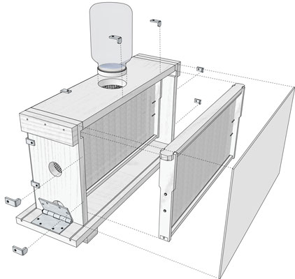 Come assemblare l'alveare di osservazione a quattro frame