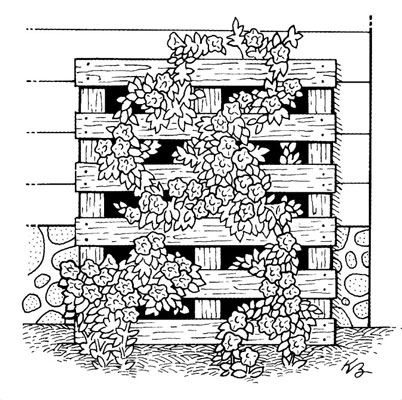 Come creare arte del giardino urbano da materiali riciclati
