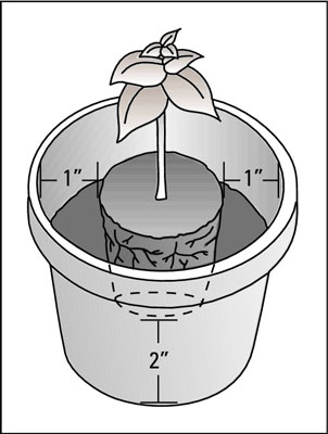 Come creare un giardino in vaso