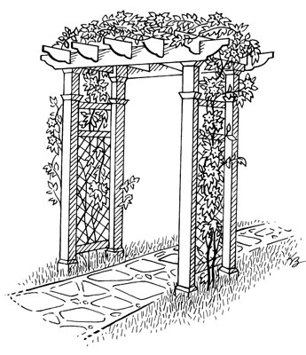 Come costruire un giardino verticale
