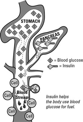 Come regolare l'insulina e la glicemia con una dieta a basso indice glicemico