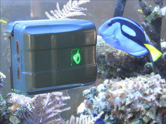 RoboSnail automatizza la pulizia dell'acquario
