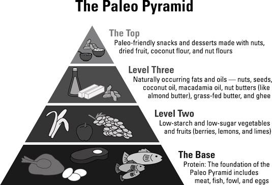 La Paleo Piramide