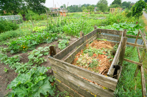 Come creare un semplice mucchio di compost